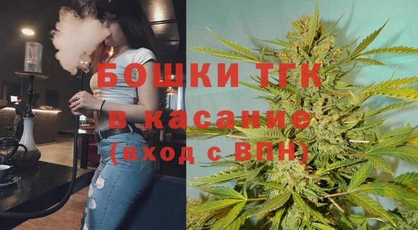 ешки Алексин