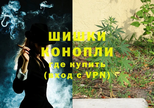 ешки Алексин