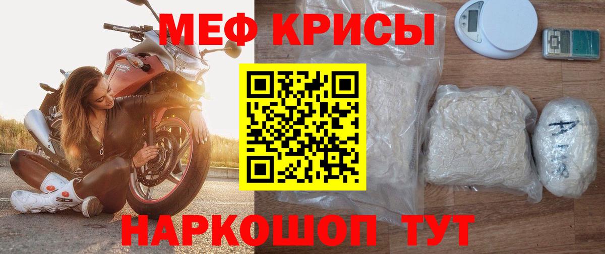 МЕФ  Кириши