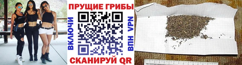 Галлюциногенные грибы мицелий  Кириши 
